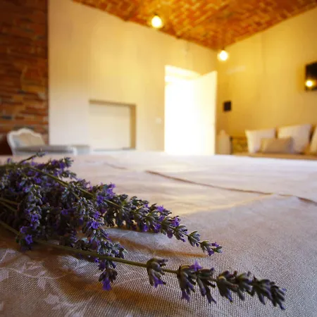 Bauernhof Cascina Bellonuovo Alba (Piedmont)