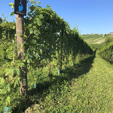 Cascina Bellonuovo