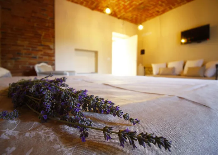 Bauernhof Cascina Bellonuovo Alba (Piedmont)