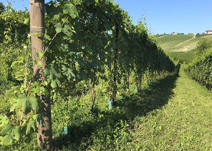 Cascina Bellonuovo